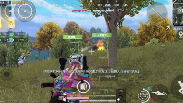 和平精英「青蛙直装」辅助，支持地铁